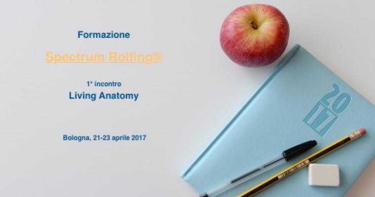 Pretraining: “Spectrum Rolfing®” Pretraining: “Spectrum Rolfing®”
