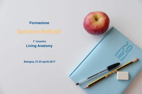 Pretraining: “Spectrum Rolfing®”