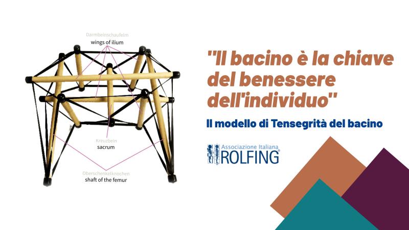 Il bacino è la chiave del benessere dell'individuo